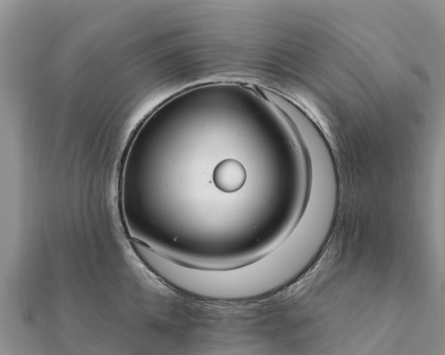 X0000112110952200908181344