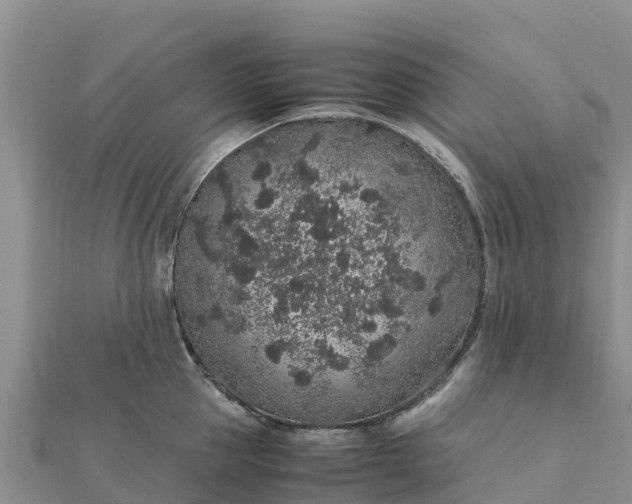 X0000112110953200908181344