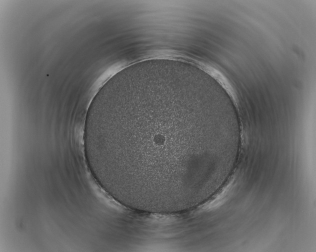 X0000112110954200908181344