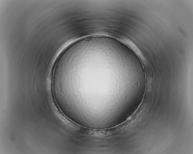 X0000112110955200908181344