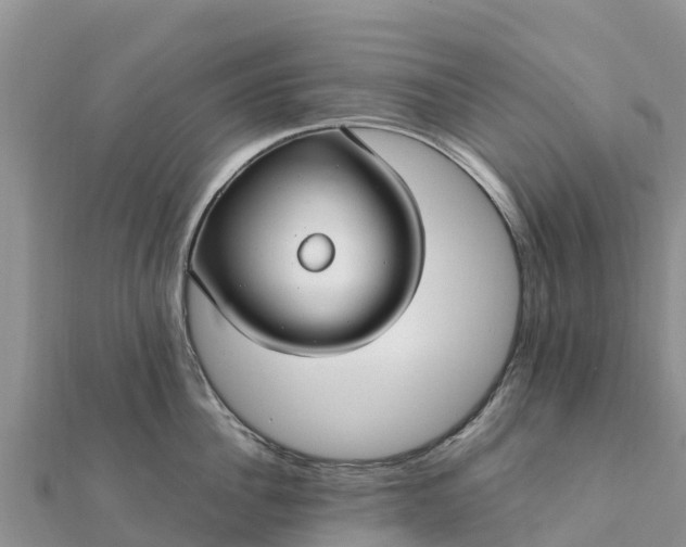 X0000112110956200908181344