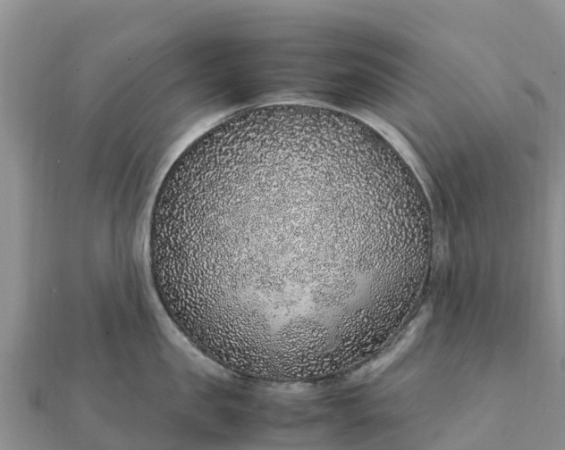 X0000112110957200908181344