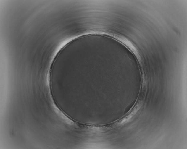 X0000112110958200908181344