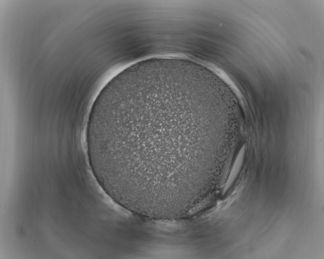 X0000112110959200908181344