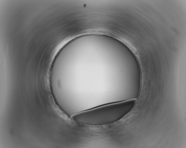 X0000112110960200908181345