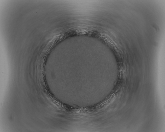 X0000112110961200908181344