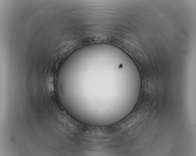 X0000112110962200908181344