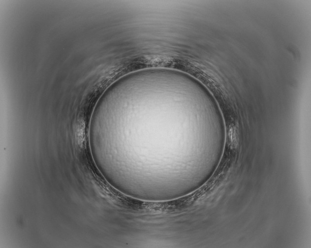 X0000112110963200908181344