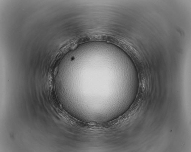 X0000112110964200908181344