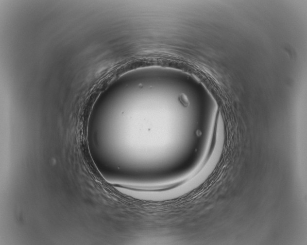 X0000112110965200908181344