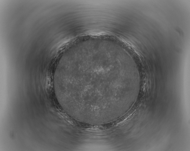 X0000112110966200908181344