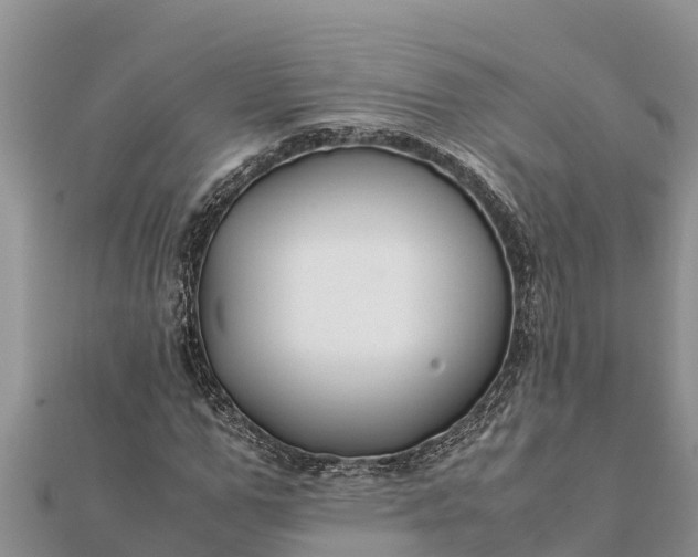 X0000112110967200908181344