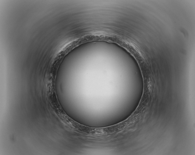 X0000112110968200908181344