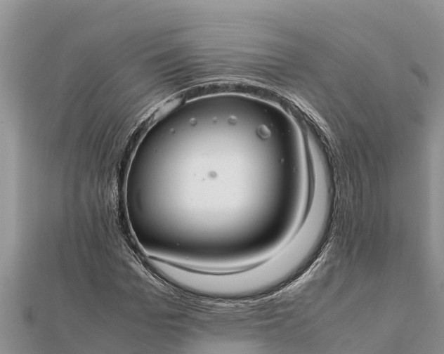 X0000112110969200908181344