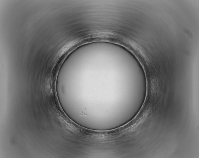 X0000112110970200908181344