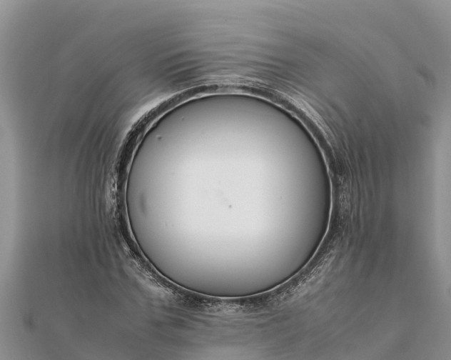 X0000112110971200908181344