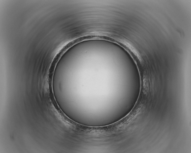 X0000112110972200908181344