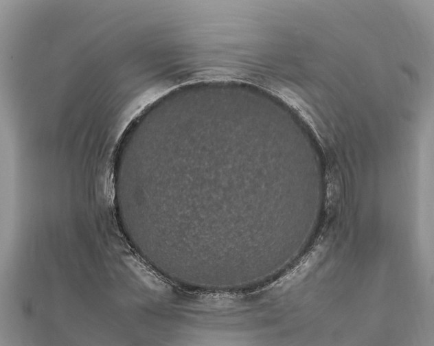 X0000112110973200908181344