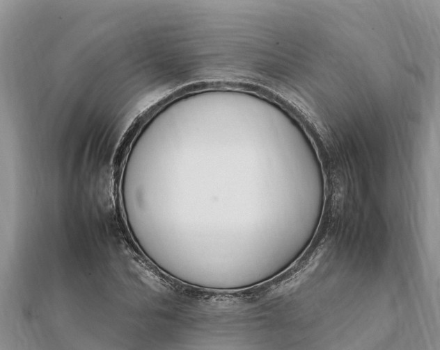 X0000112110974200908181344