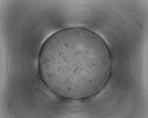 X0000112110975200908181344