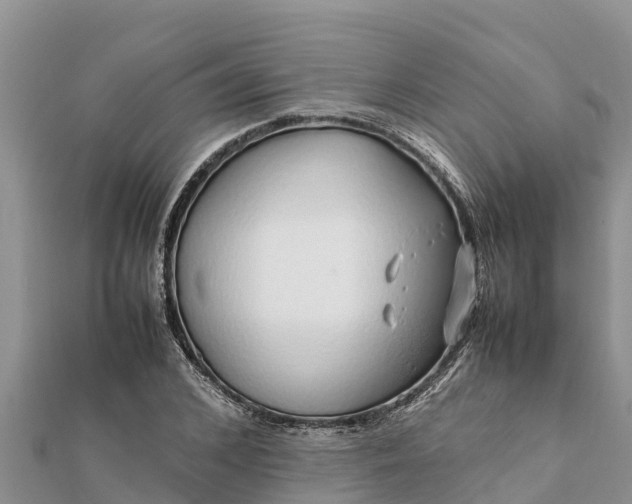 X0000112110976200908181344