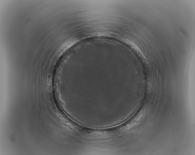 X0000112110977200908181344