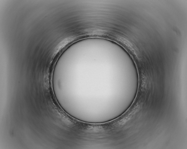 X0000112110978200908181344