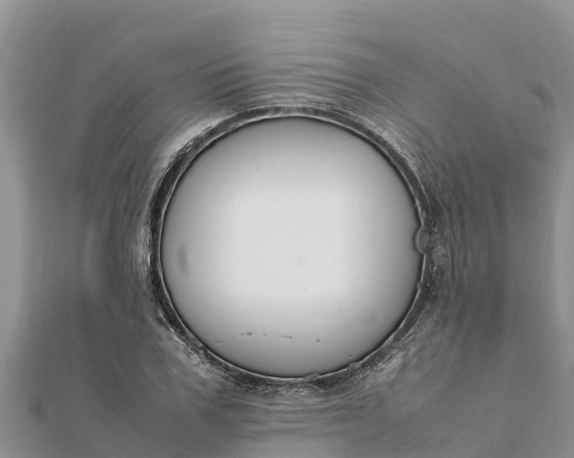 X0000112110979200908181344