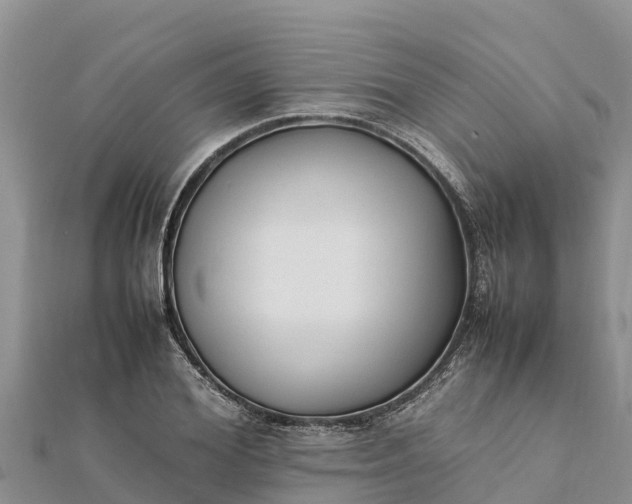 X0000112110980200908181344