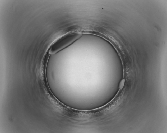 X0000112110981200908181344