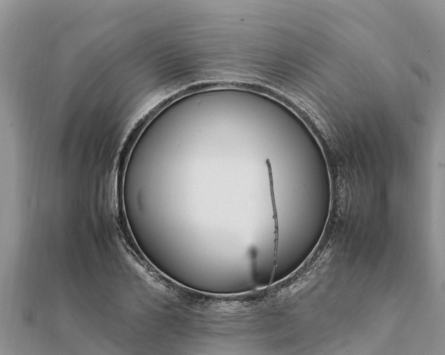 X0000112110982200908181344