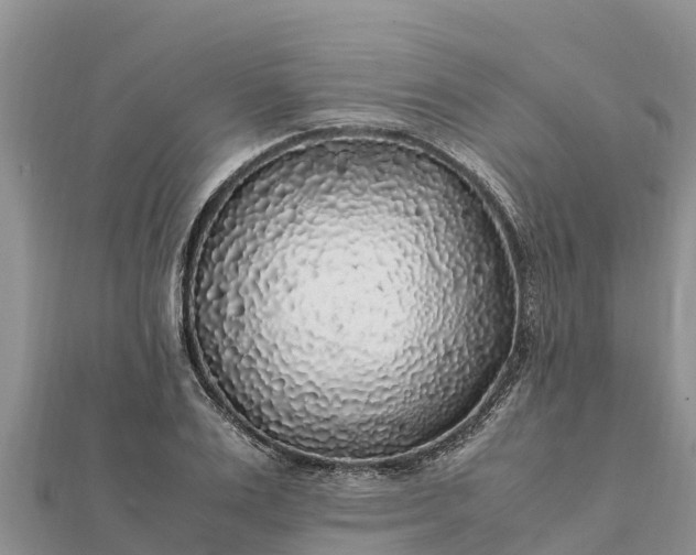 X0000112110983200908181344