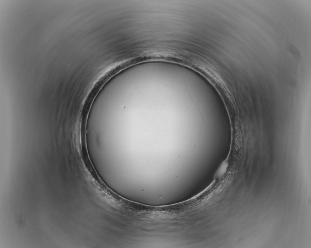 X0000112110984200908181344