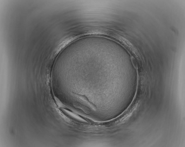 X0000112110985200908181344