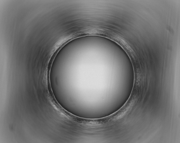 X0000112110986200908181344