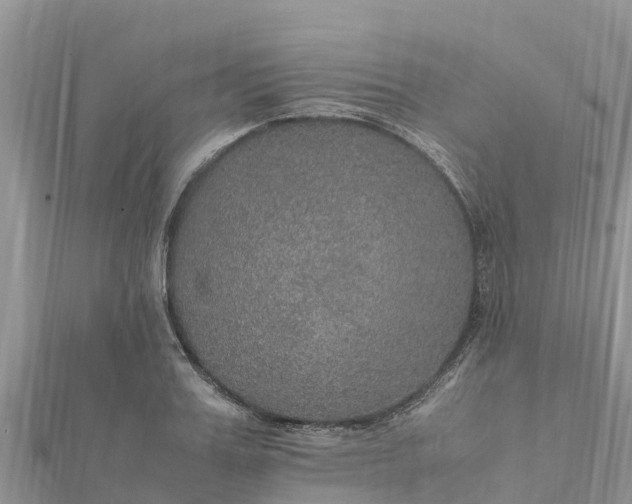 X0000112110987200908181344