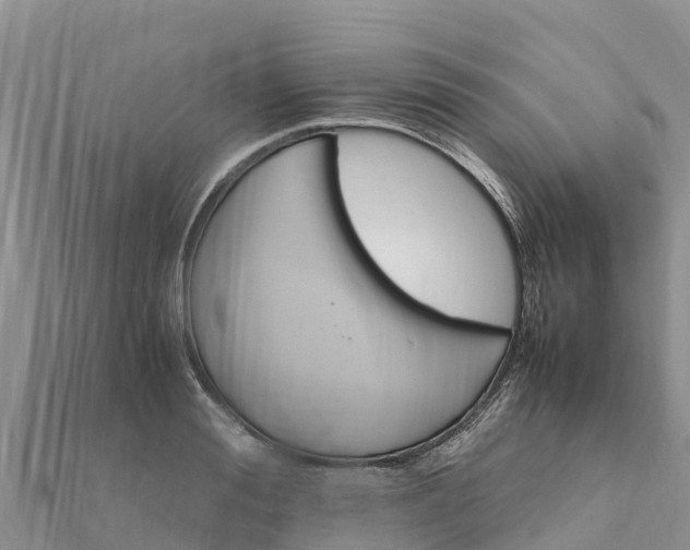 X0000112110988200908181344