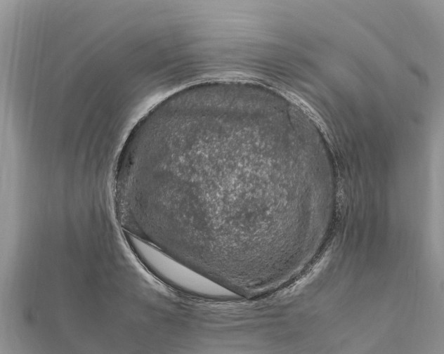 X0000112110989200908181344