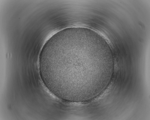 X0000112110990200908181344