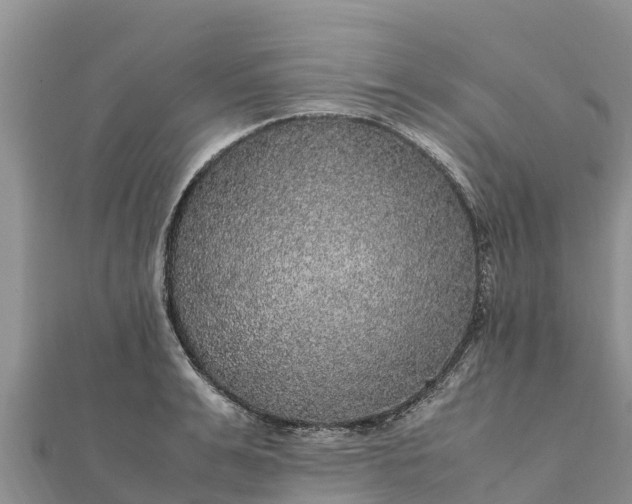 X0000112110991200908181344