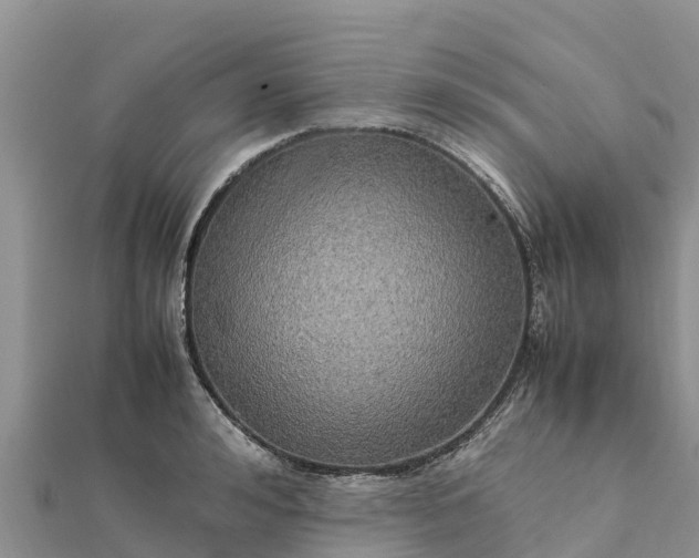 X0000112110992200908181343