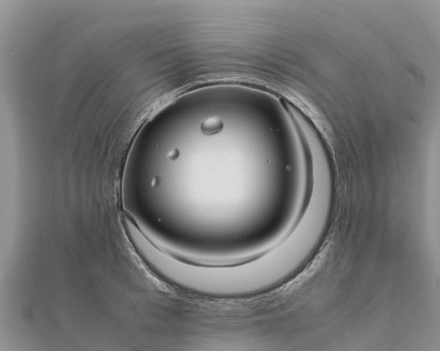 X0000112110993200908181343