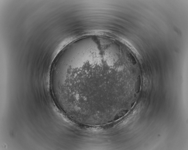 X0000112110994200908181343