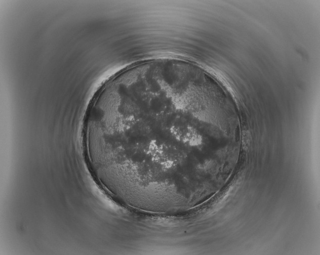 X0000112110995200908181343