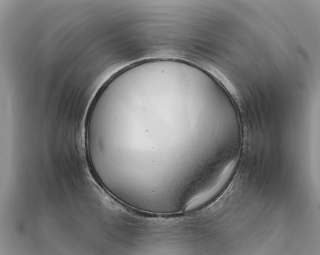 X0000112110996200908181343