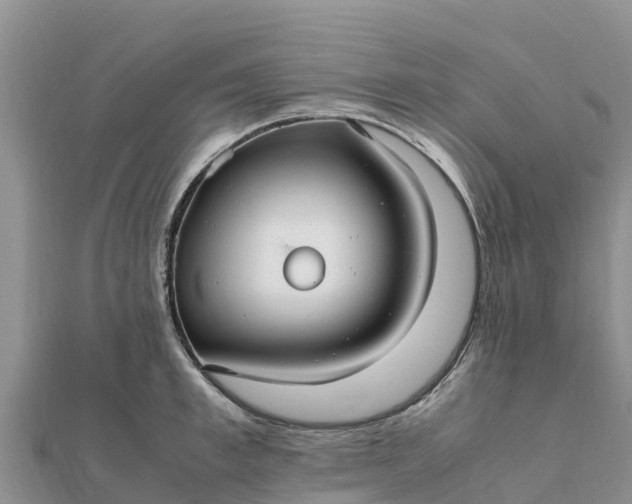 X0000112110997200908181343