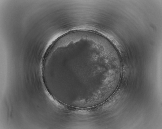 X0000112110998200908181343