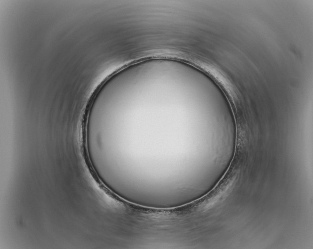 X0000112110999200908181343