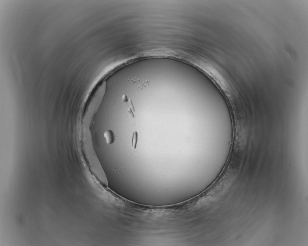 X0000112111000200908181343