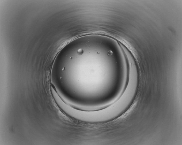 X0000112111001200908181343